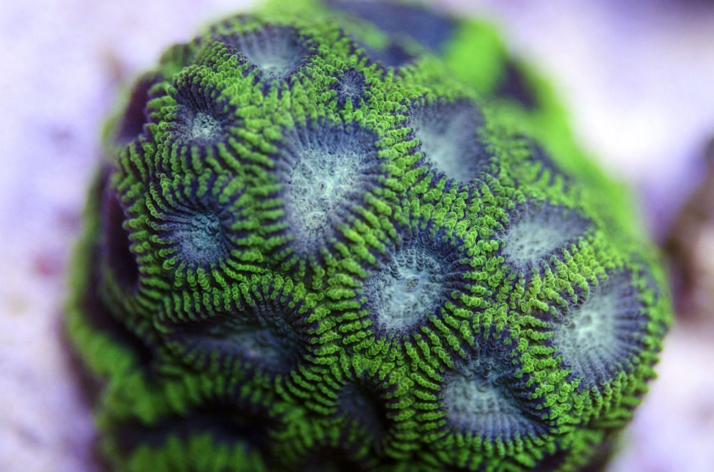 DSC_0019.jpg
