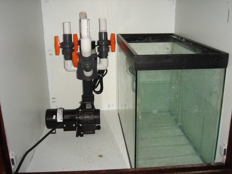 2008_0308100g-square0011.jpg