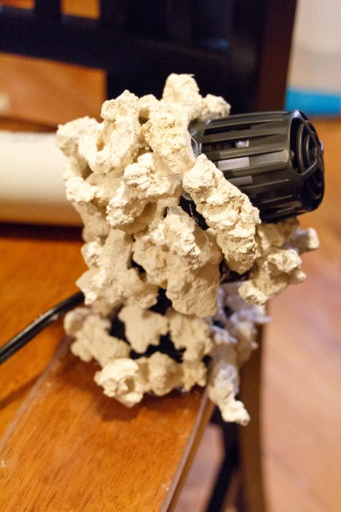Rock-9_zps1f4cc83b.jpg