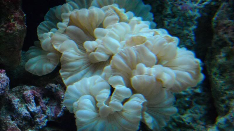 DSCN0757.jpg