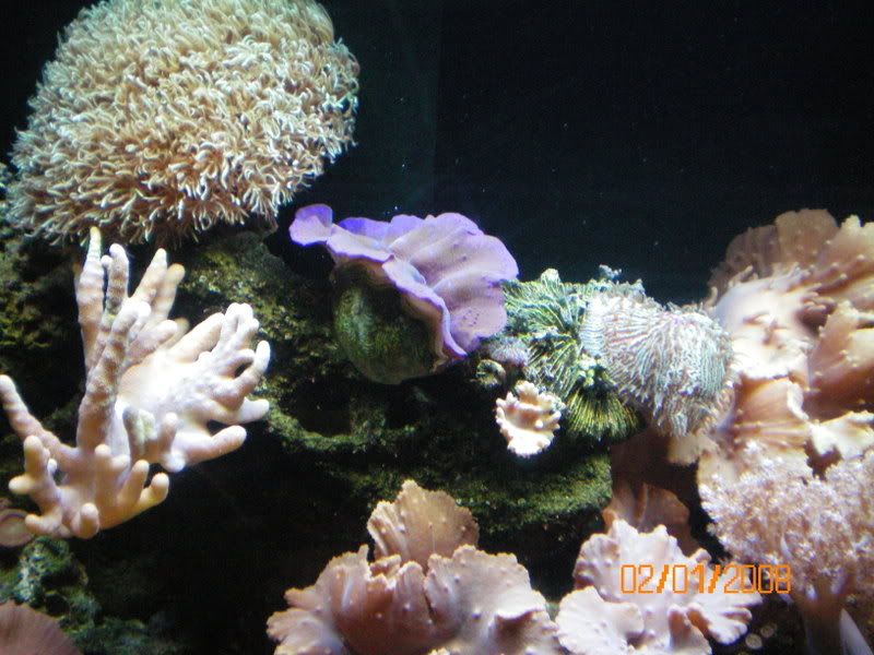 100_0109.jpg