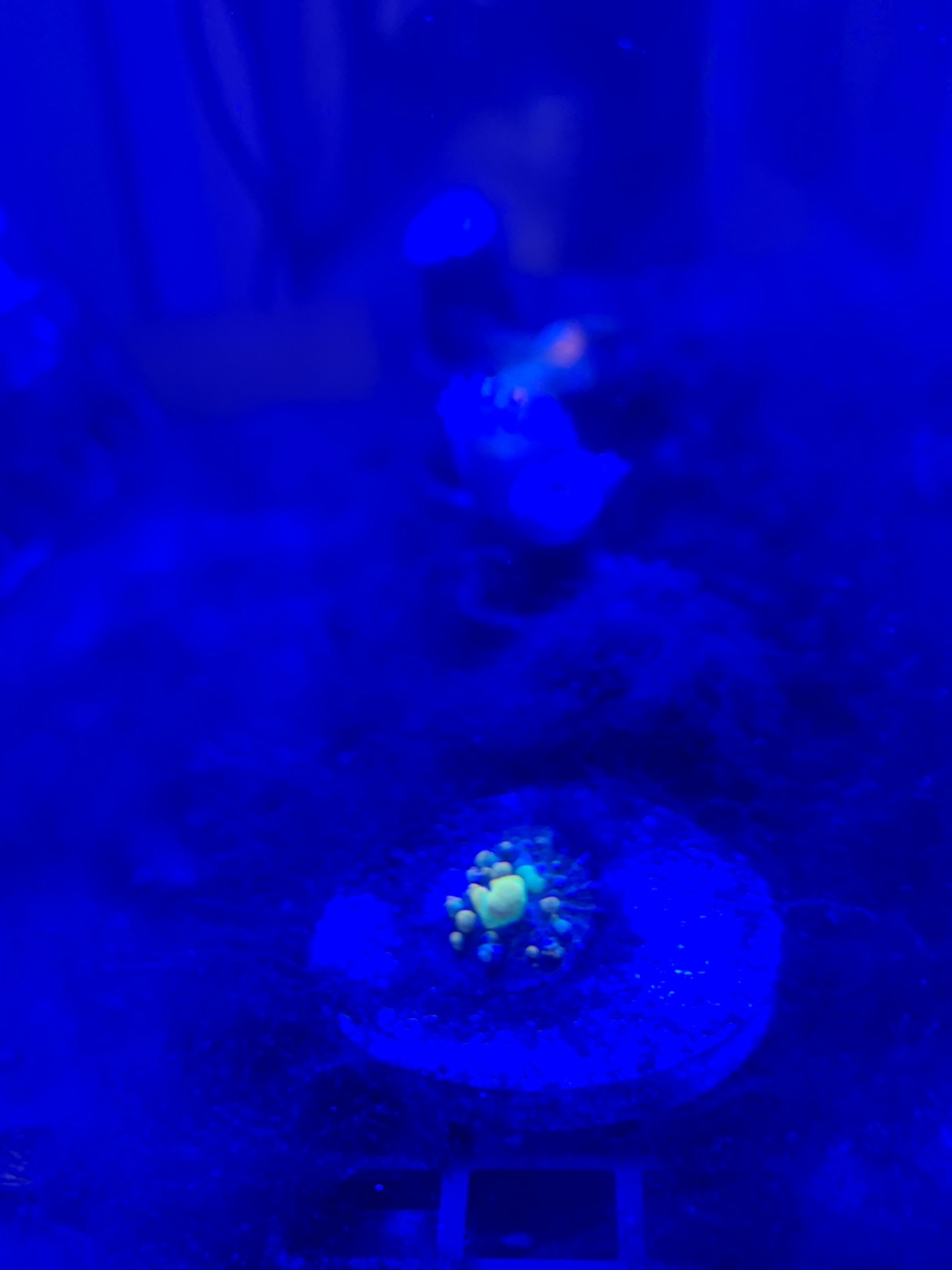 de76f8ff7015b8c0b5e38323ec122ba6.jpg