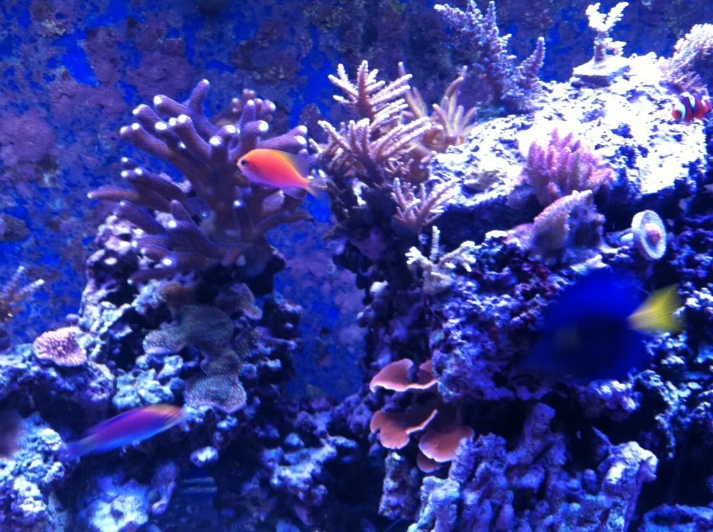 frags2-25-12015.jpg