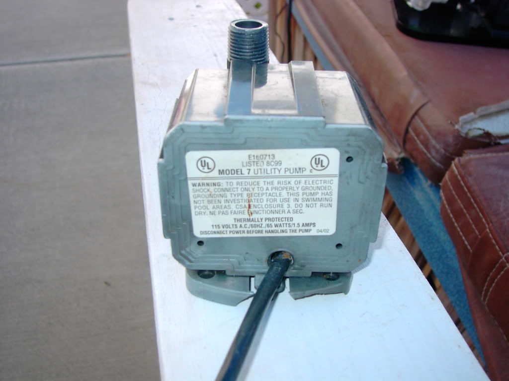 KIF_0206.jpg