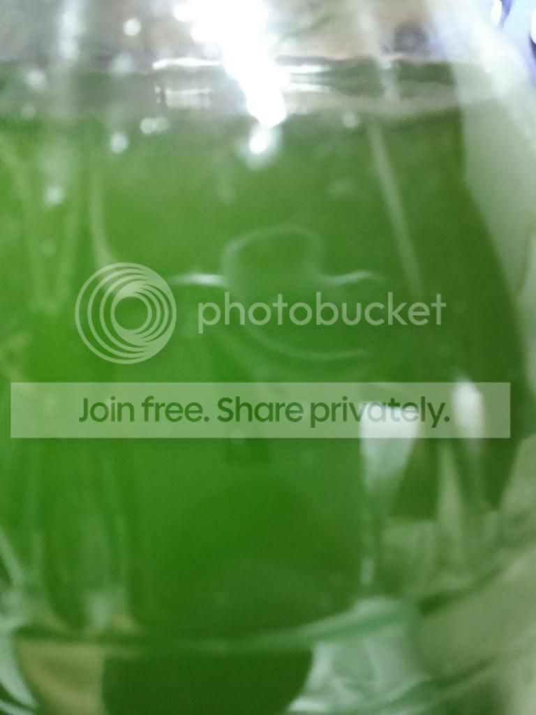 20140923_210306_zpsvedrehdv.jpg