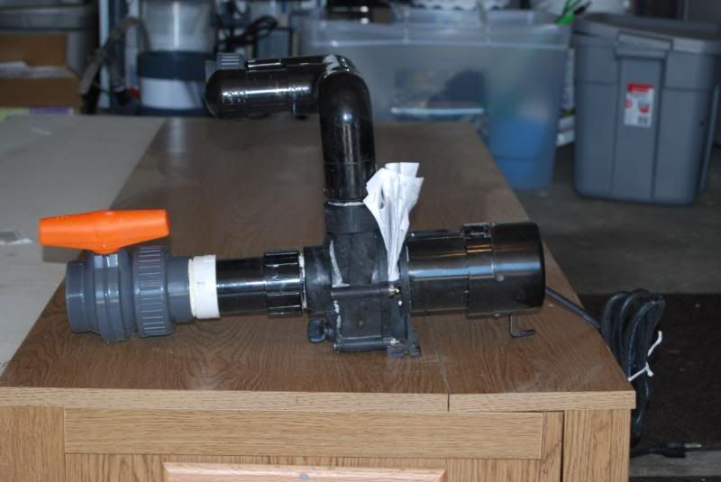 fishstuffforsale007.jpg