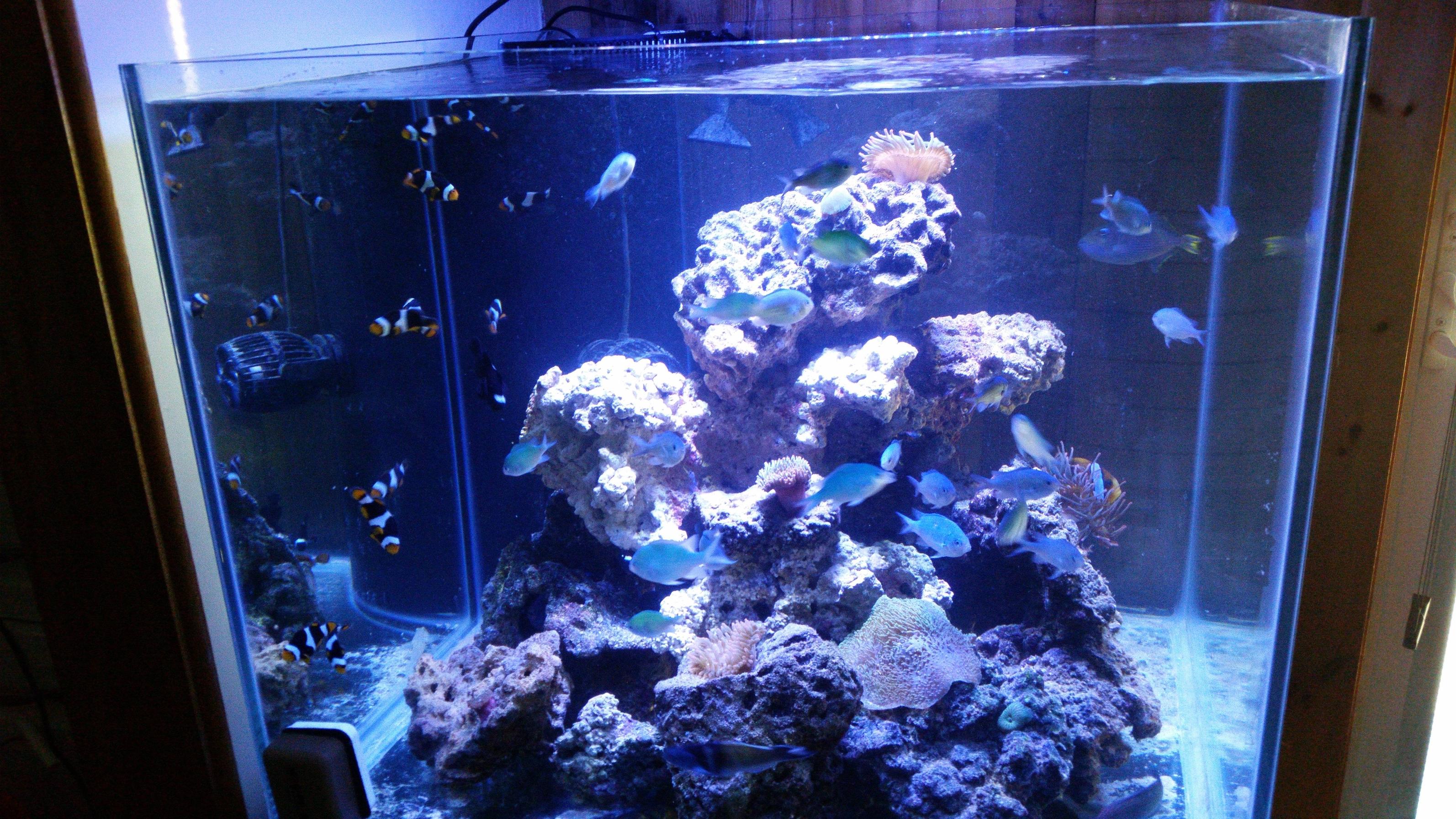 p9Abnj4.jpg