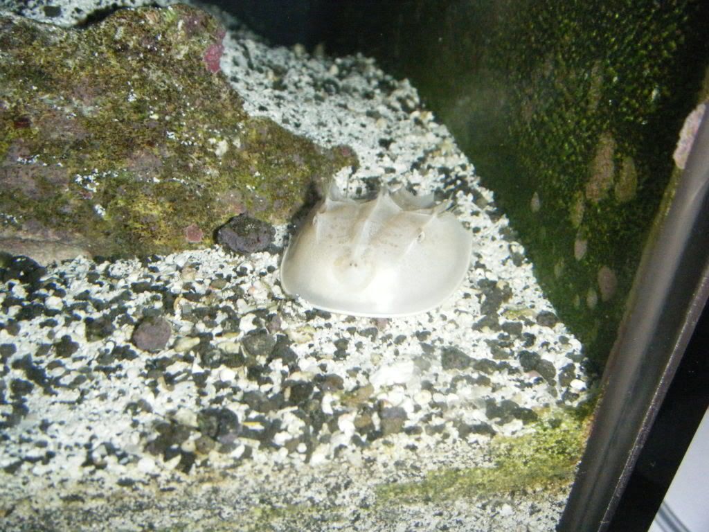 DSCF0255.jpg