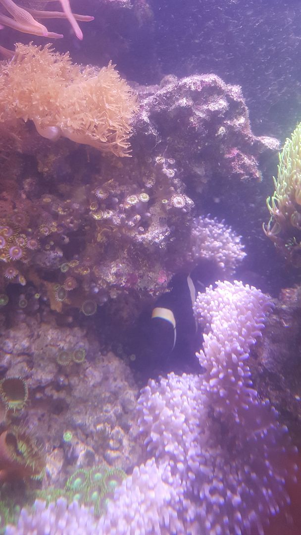 20150601_131057.jpg
