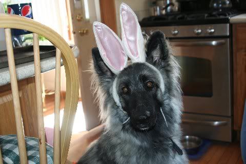 SableEaster11018.jpg