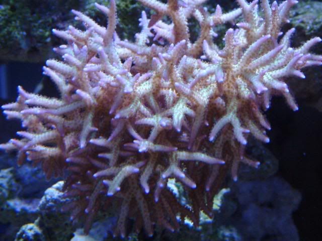 DSCF0027.jpg