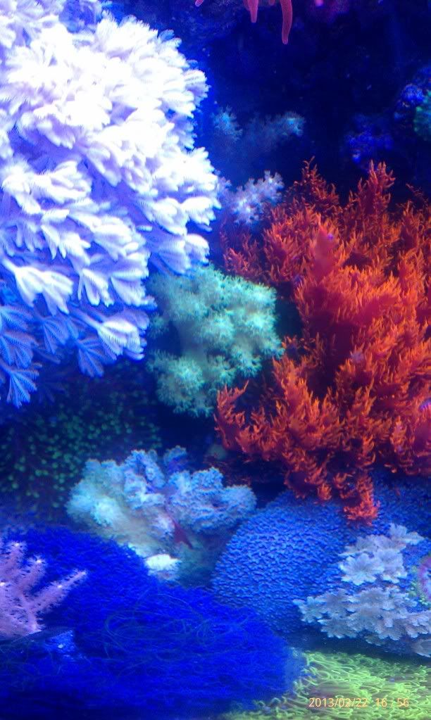 IMAG1149_zps41e3db94.jpg