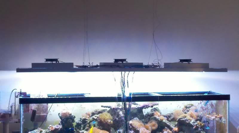 2010-12-02_15-40-53_78.jpg