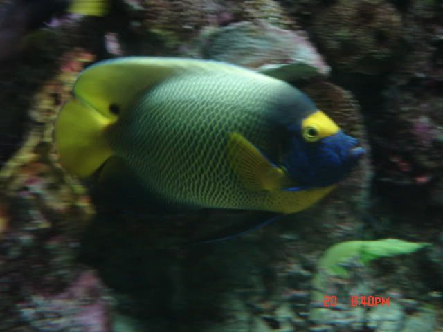DSC01395.jpg