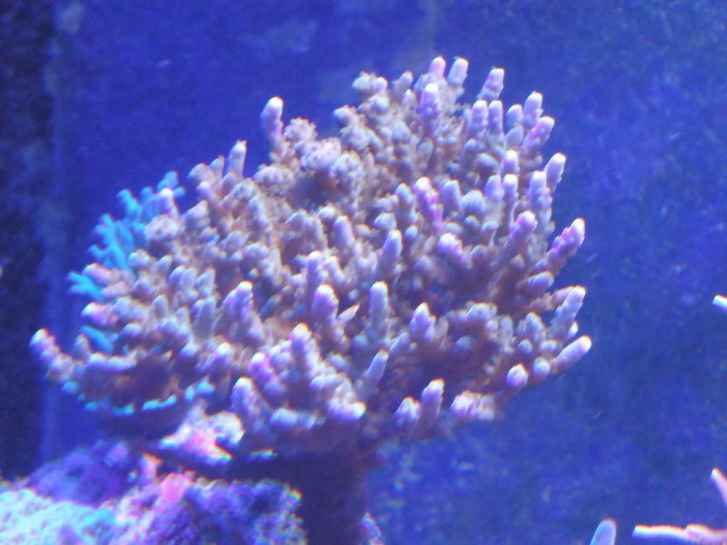 P9150027.jpg
