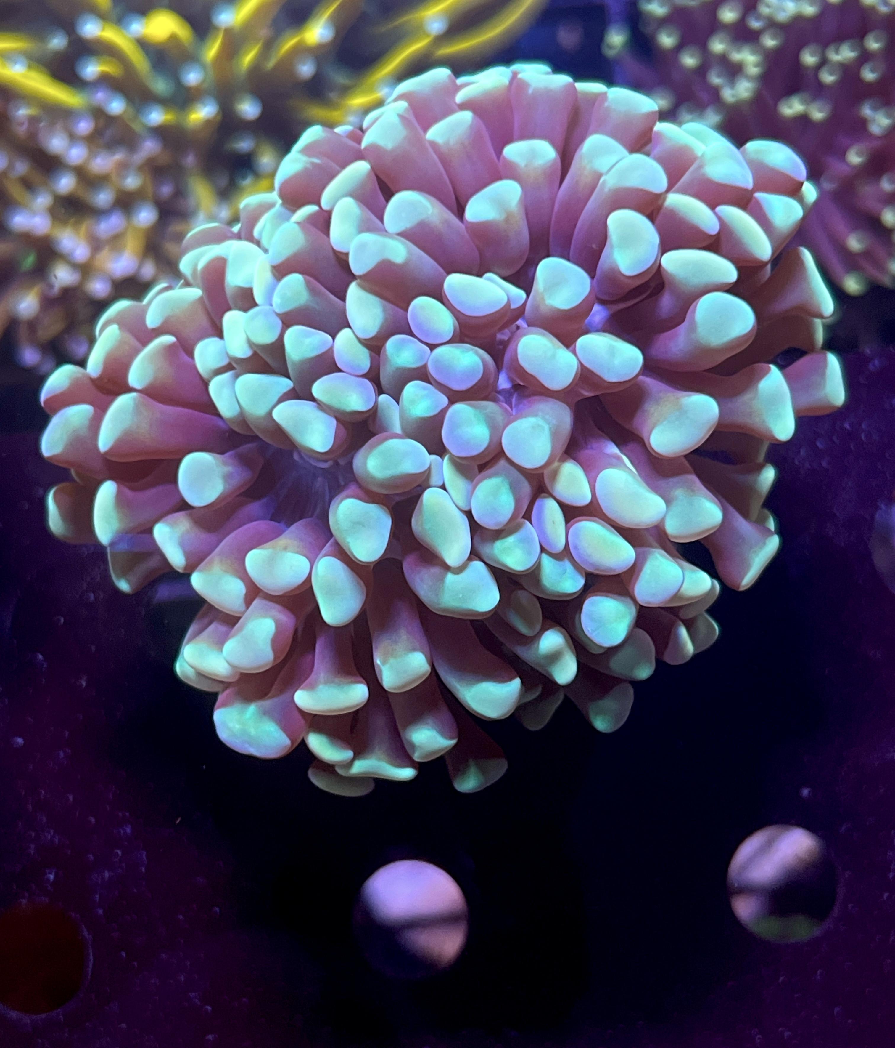 e49d0a71ae631f1eb8a9ed52e0fd65ed.jpg