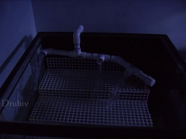 Resized_Aqua_1_07008.jpg