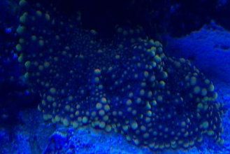 IMAG0804-2.jpg