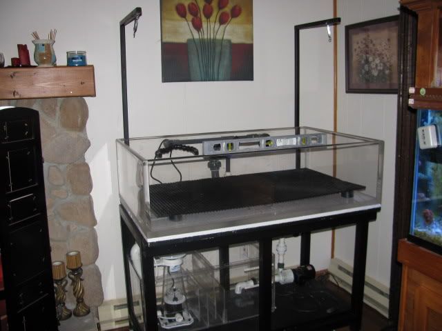 MyNewFragTank002.jpg
