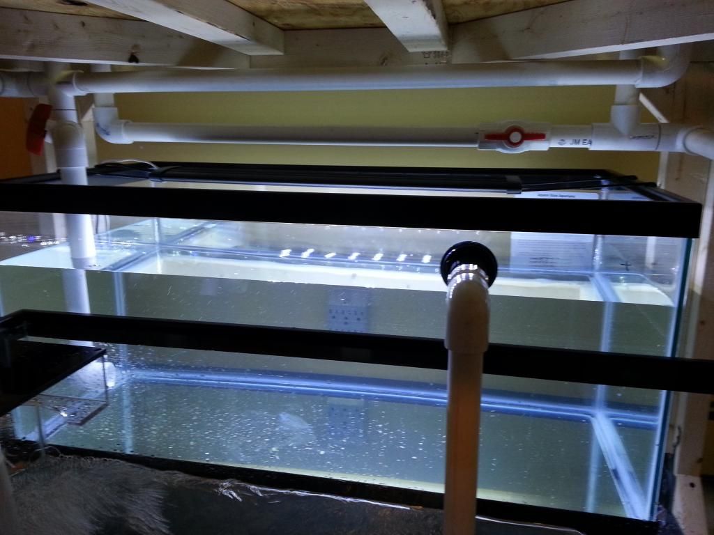 20121209_160839.jpg