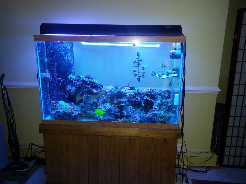 20121128_214318.jpg
