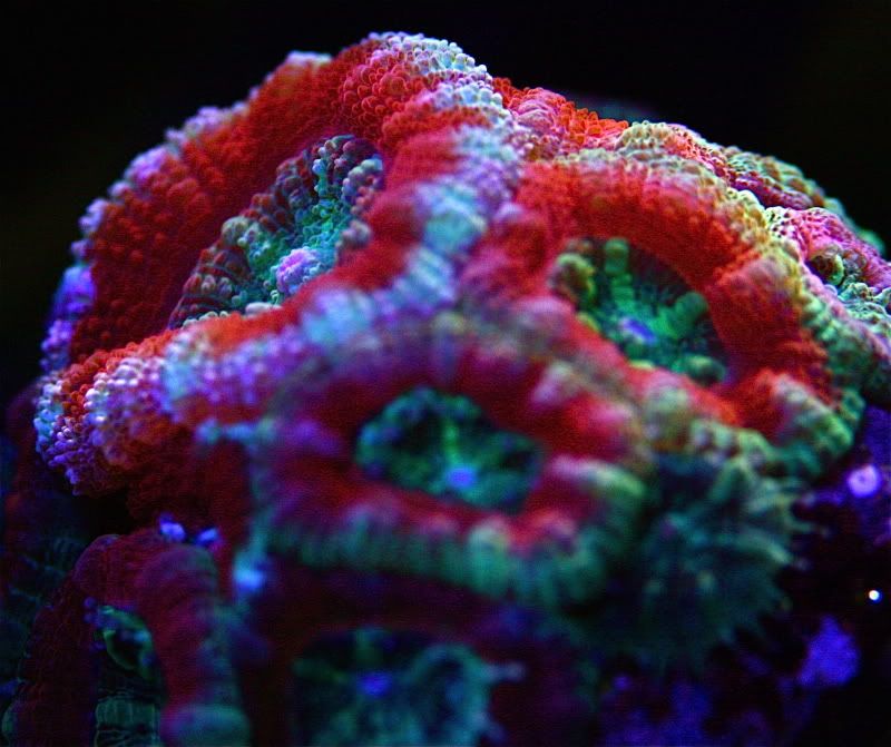 IMG_6871.jpg