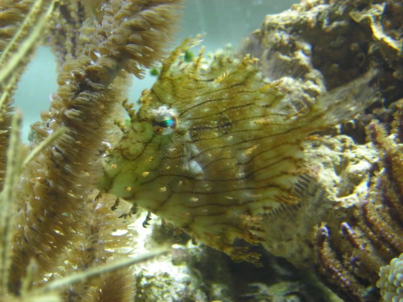 DSCN2329.jpg