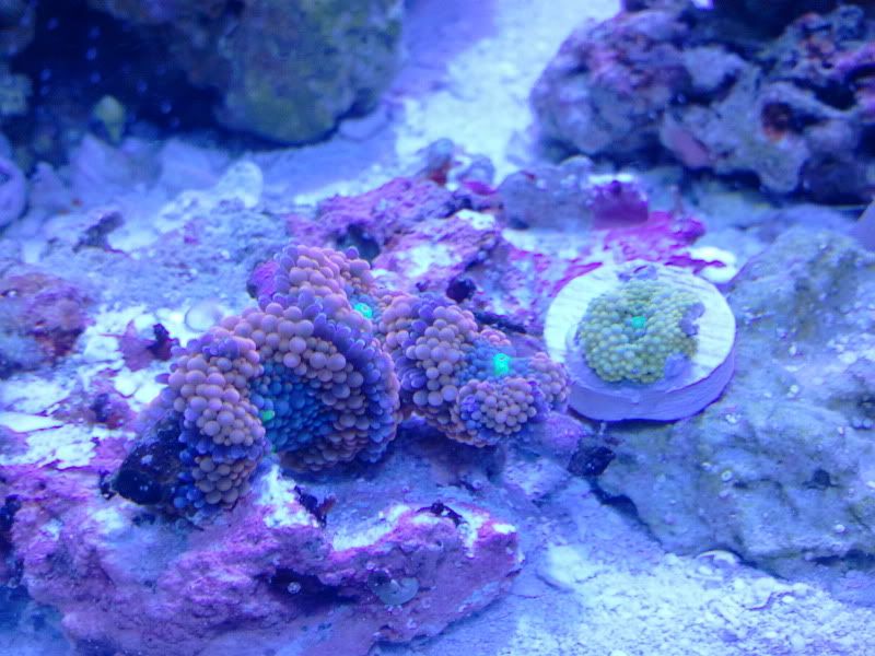 2011-04-21120232.jpg