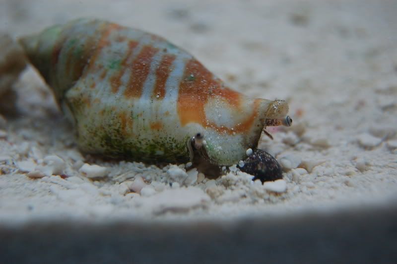 DSC_0427.jpg