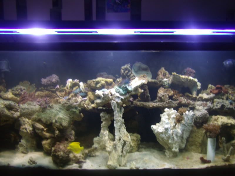 Picture090.jpg