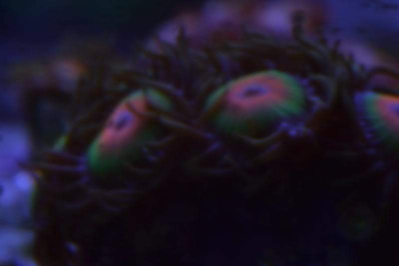 2e6d17d5.jpg