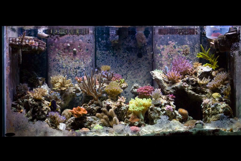 FTS2.jpg