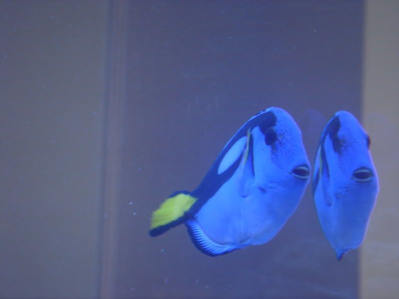 2008_0323100g-square0017.jpg
