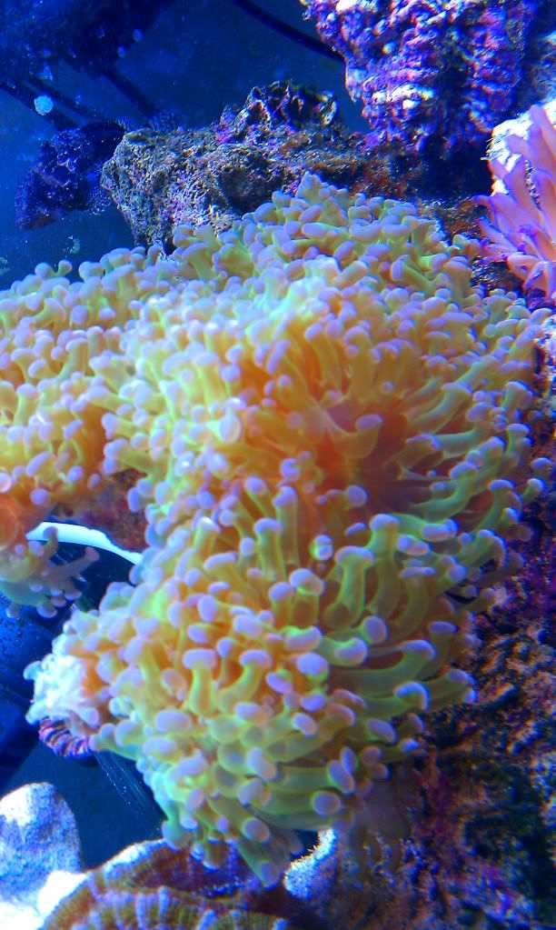 IMAG0034-1.jpg