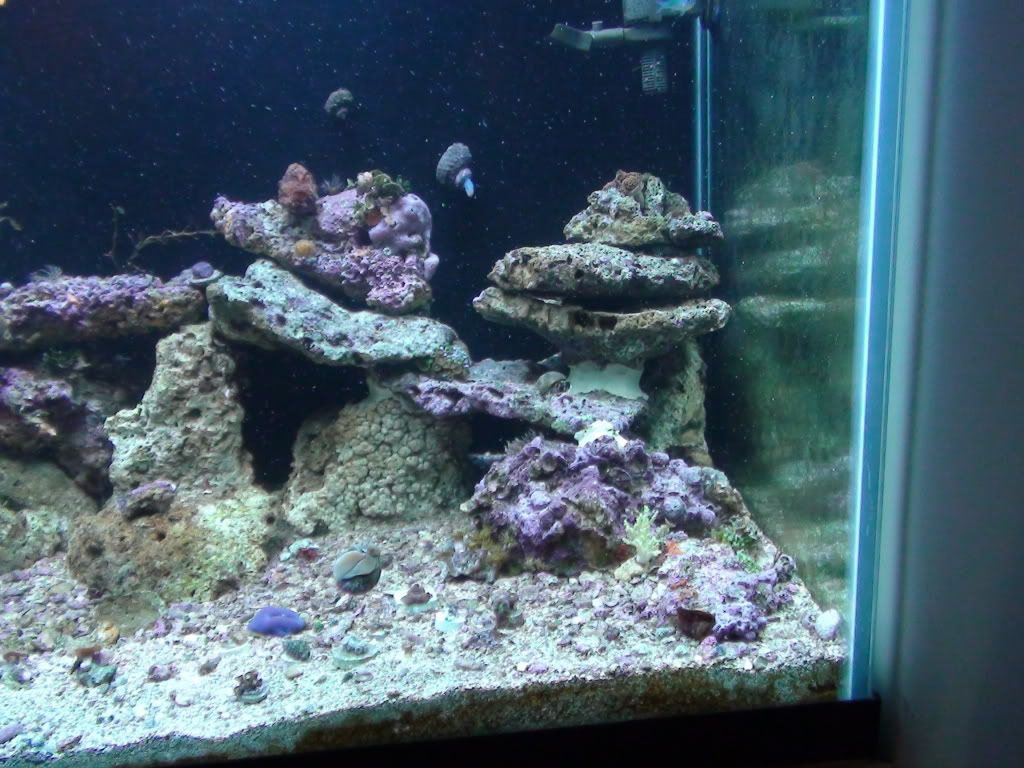 DSC00408.jpg
