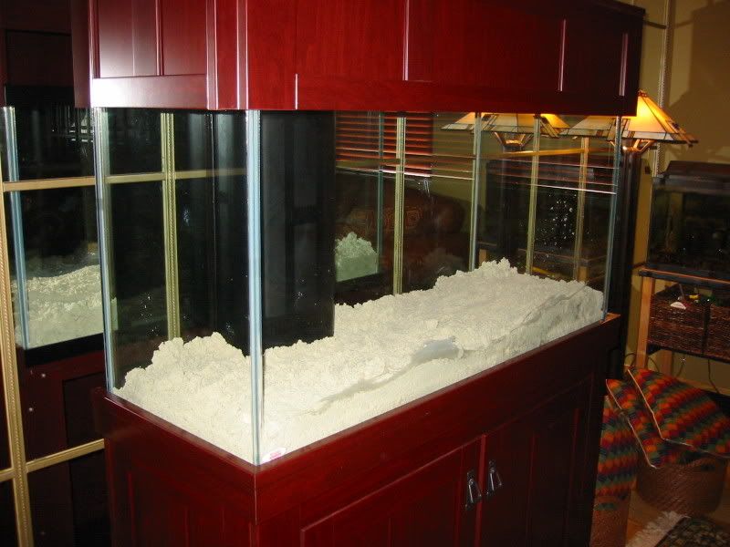 114-1461_IMG.jpg