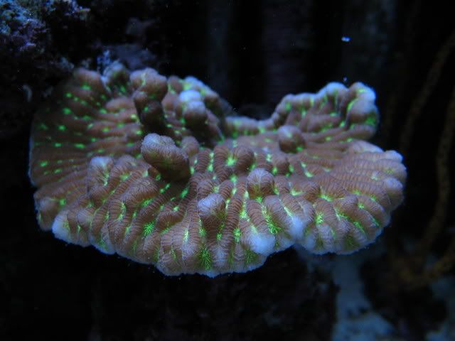 IMG_1427.jpg