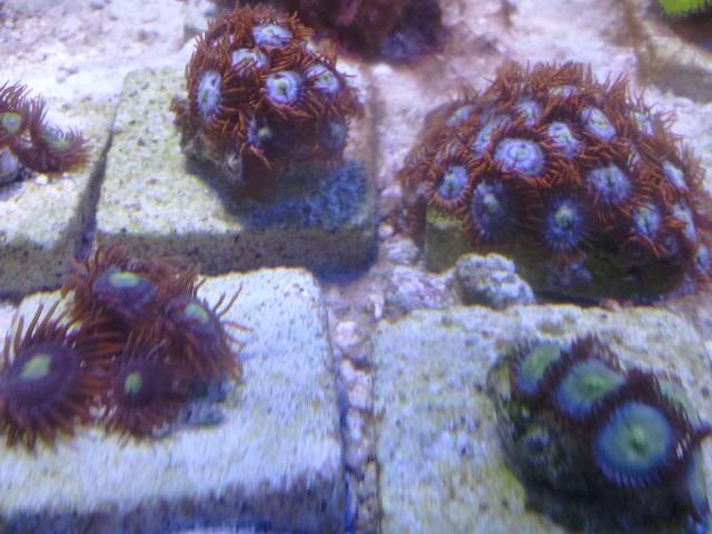 2011-04-28_12_44_52.jpg