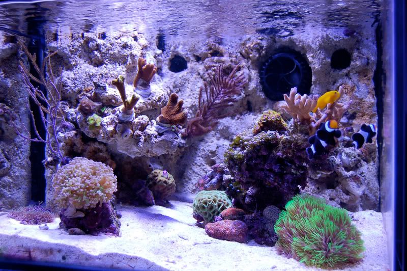 DSC_0004-1.jpg