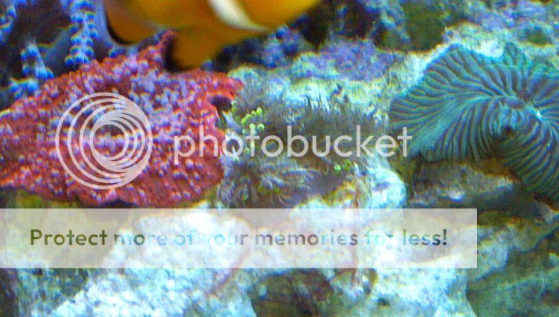 2012-08-27_16-16-03_854-1.jpg