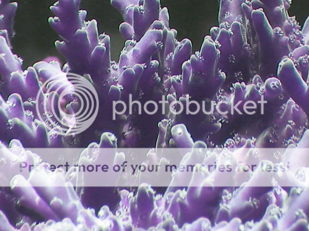 RSCN4297.jpg