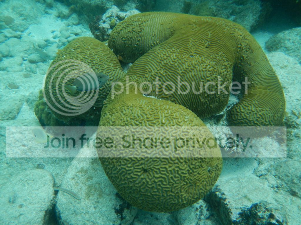 DSCN0520.jpg