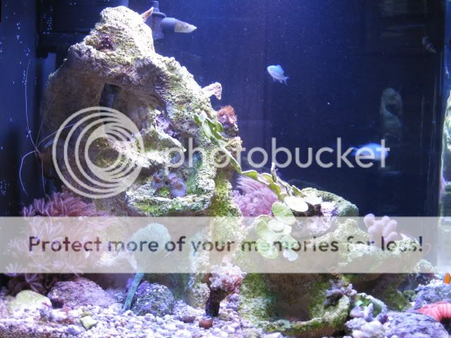 IMG_0243.jpg