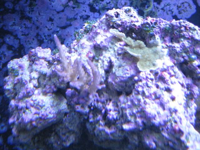 IMG_0532.jpg
