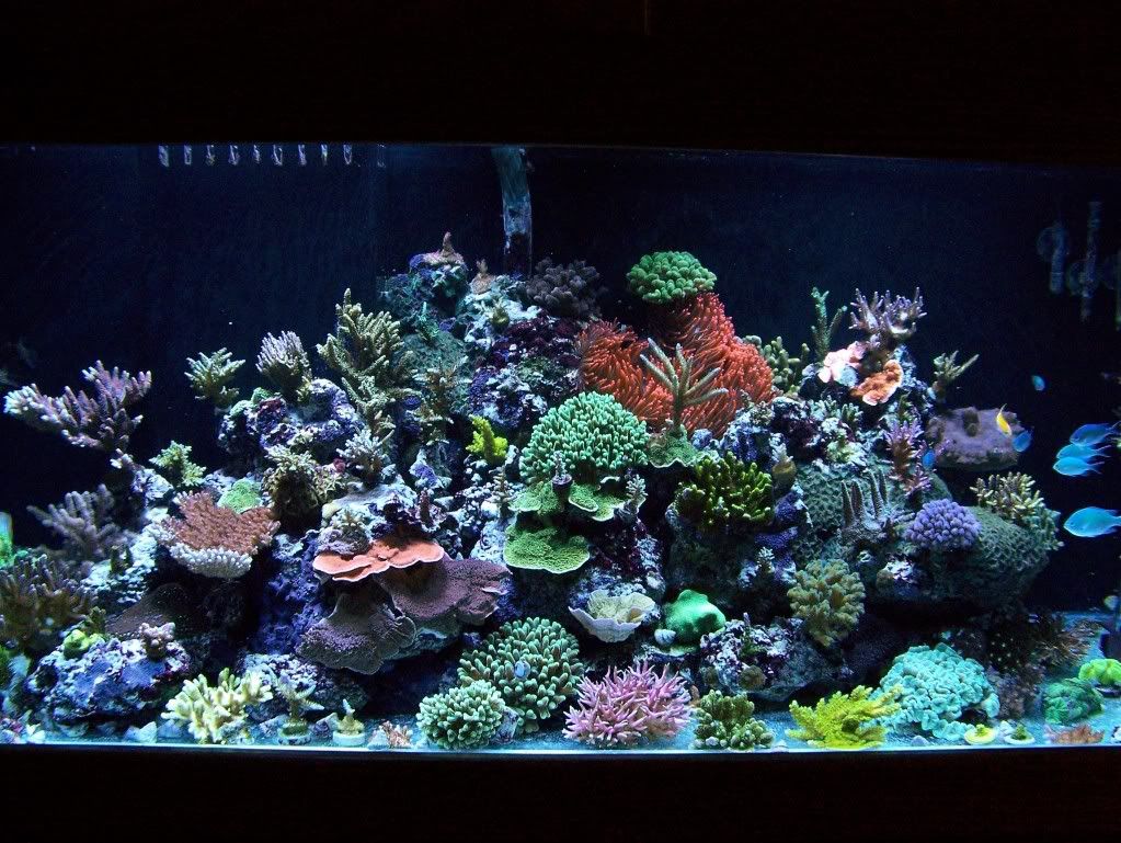 100_4965.jpg