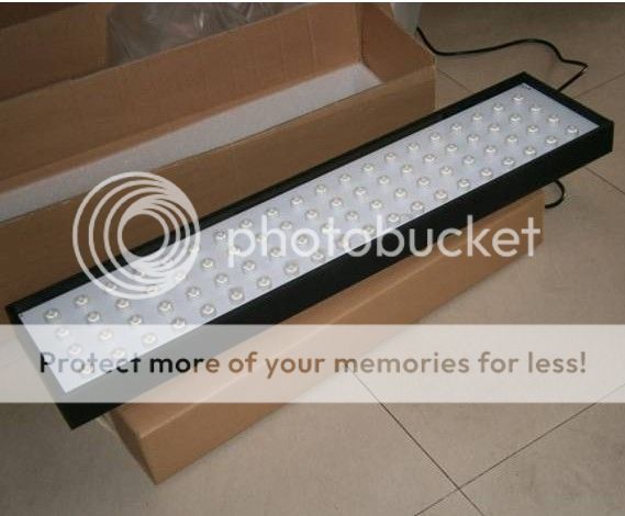 buyer102-15-11-03-12-11-32-12.jpg