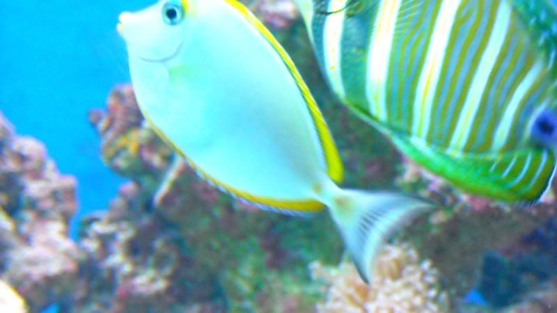 DSCN0828.jpg