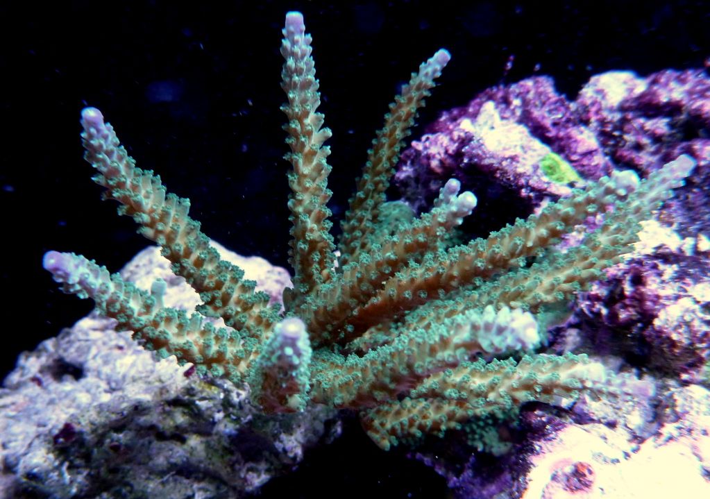 P1020102.jpg