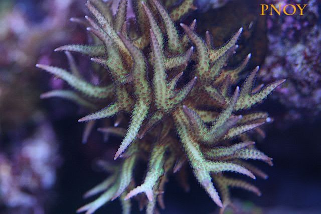 018copy-2.jpg