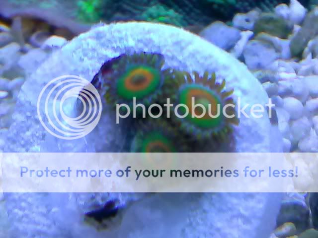 CAM00465.jpg